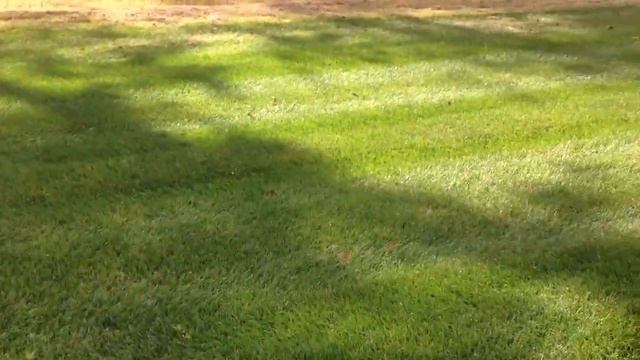 Русская Америка 1605 Выезжаем летать на воздушных шарах смотреть онлайн