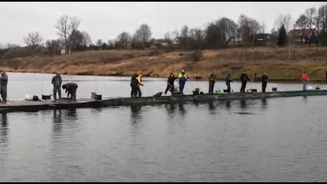 8 ноября 2020 г. смотреть онлайн