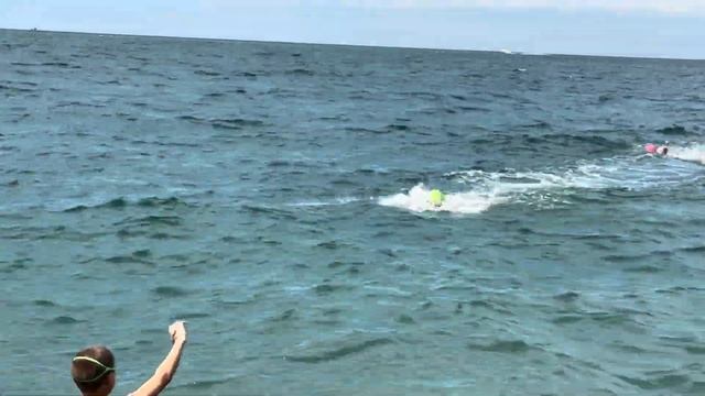 ЧЕМПИОНАТ и первенство в г. Сочи по плаванию на открытой воде! Bobnyashka смотреть онлайн