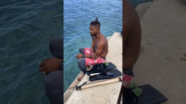 HOW DOES FREE LUNG DIVING FUNCTIONS DIVER DAVION EXPLAIN ( 2023) смотреть онлайн