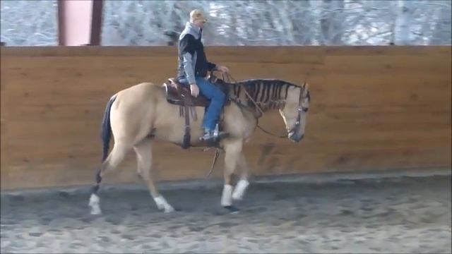 J Bar J - Cal in Training 1.wmv смотреть онлайн