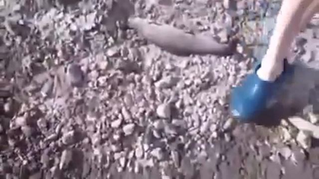 Профессиональный рыбак))) смотреть онлайн