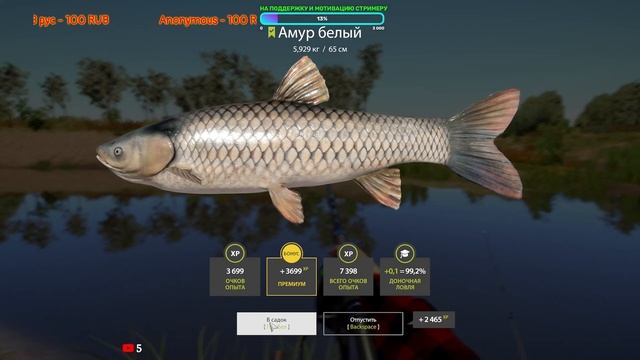 🐠РУССКАЯ РЫБАЛКА 4🐟ОХОТА НА БУФФАЛО ПРОДОЛЖАЕТСЯ🐠КАЧАЕМ ПВА🐟 смотреть онлайн