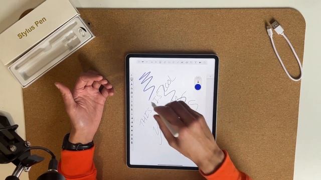 CHEAP APPLE PENCIL ALTERNATIVE! £15!!! смотреть онлайн