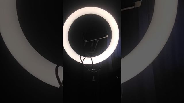 Сербская леди пришла через портал!!! 😱😱😭😭 смотреть онлайн