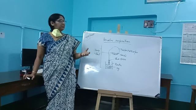 Class,IX Subject biology смотреть онлайн