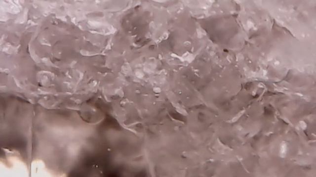 Cахар рафинад под микроскопом смотреть онлайн