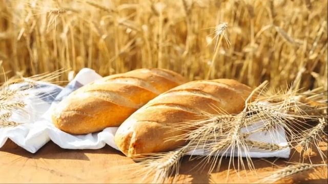 Любовь Грудько читает стихотворение Любови Белимовой «Родина моя, сторонка дорогая» смотреть онлайн