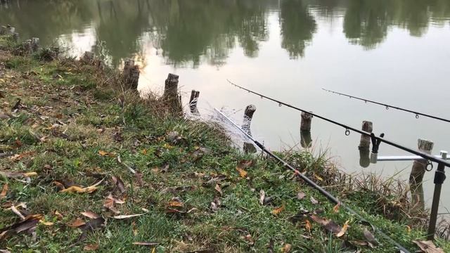 Pescuit Method Feeder - Balta Floarea Popestiului - 20.11.2019 - partea 06 смотреть онлайн