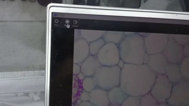 Mikroskop Multimedia/Mikroskop Digital, Pengiriman Ke SMA Garuda Cendikia Jakarta Selatan