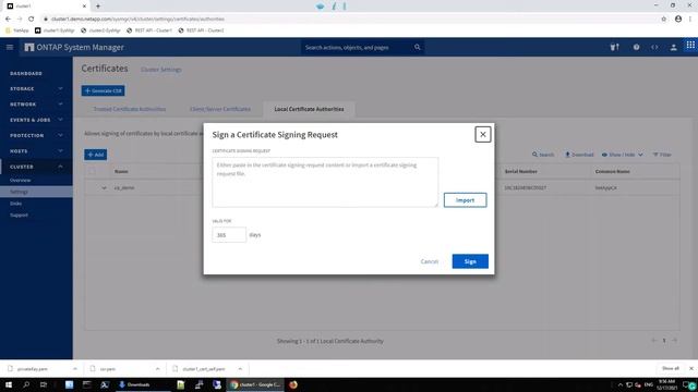ONTAP 9.10.1 - CA - Case 3 - Sign a Local Certificate Authority Certificate смотреть онлайн