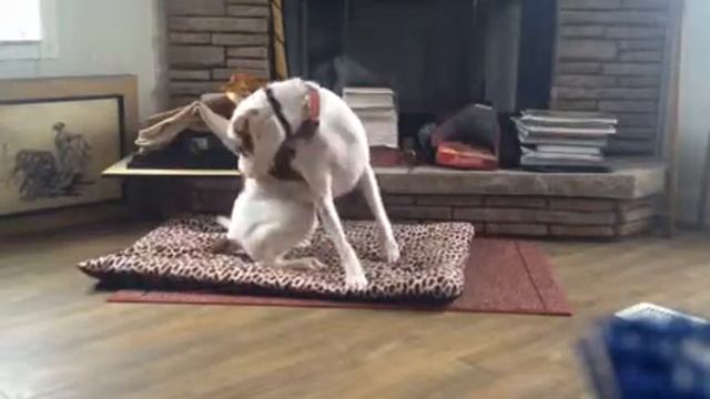 Lincoln - place w/distraction 3/3/15 смотреть онлайн