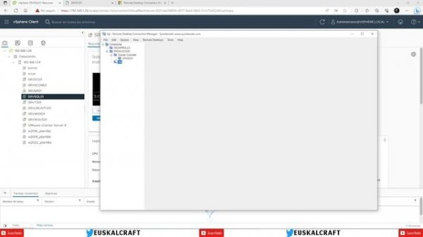 Remote desktop connection manager