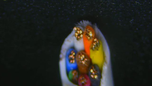 Витая пара под микроскопом МСП-3D