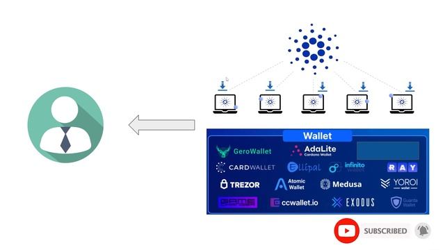 Ví Nào Tốt Nhất Để Lưu Trữ ADA?