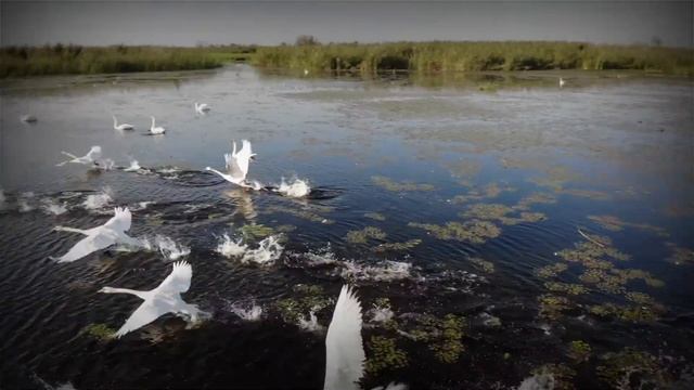Astrakhan Fishing смотреть онлайн