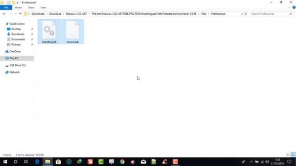 Recuva 1 53 Professional & Business Edition &Technician Edition License Key Crack Free Download ✔