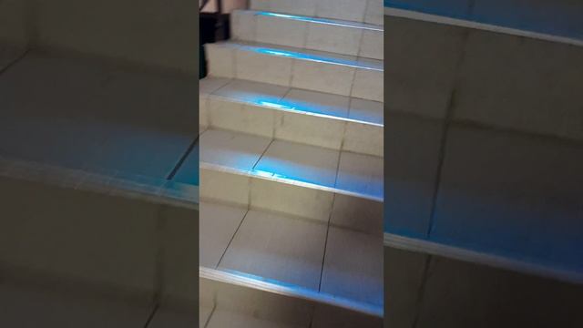 Лифт (МЛЗ-1985 г.в); V=0,71 м/с; Q=320кг; Радужная 55 подъезд 5; город Киев смотреть онлайн