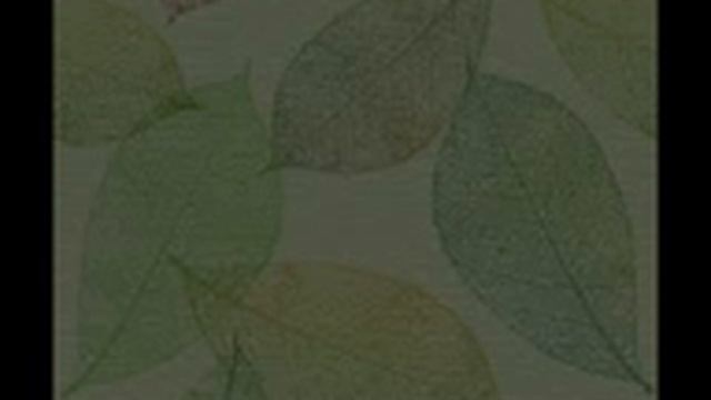 Windows Me wallpaper slideshow смотреть онлайн