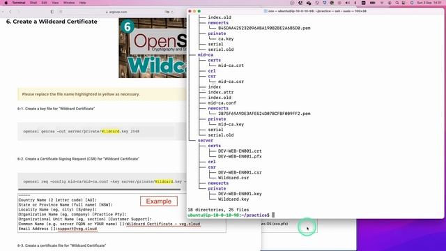 6. OpenSSL - WIldcard Certificate смотреть онлайн