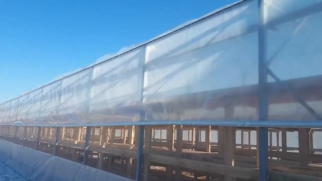Боковое зашторивание плёной теплицы смотреть онлайн