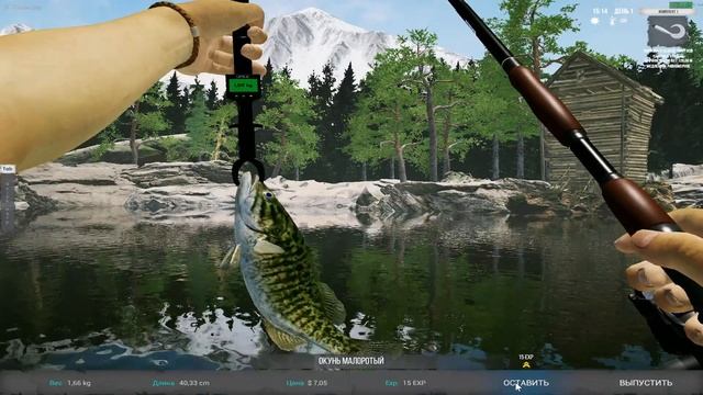 Ultimate Fishing Simulator 2 НА ХАРДЕ ЛОВИМ ВТОРОЙ ПРОФИЛЬ смотреть онлайн
