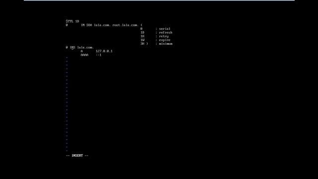 Configured Master DNS 2nd way with Bind смотреть онлайн