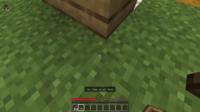 More Body Actions Addon/Mod MCPE PE!