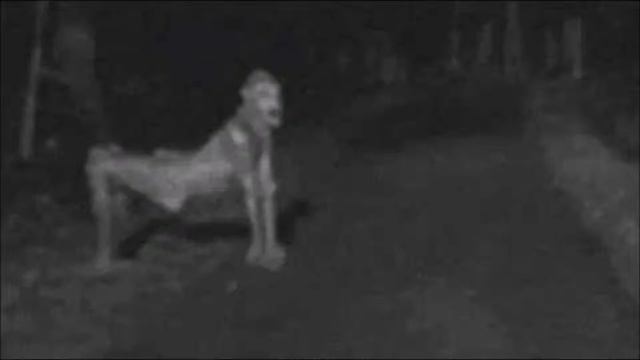 True Scary Stories - Skin Walker смотреть онлайн