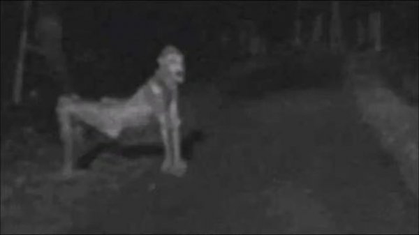 True Scary Stories - Skin Walker