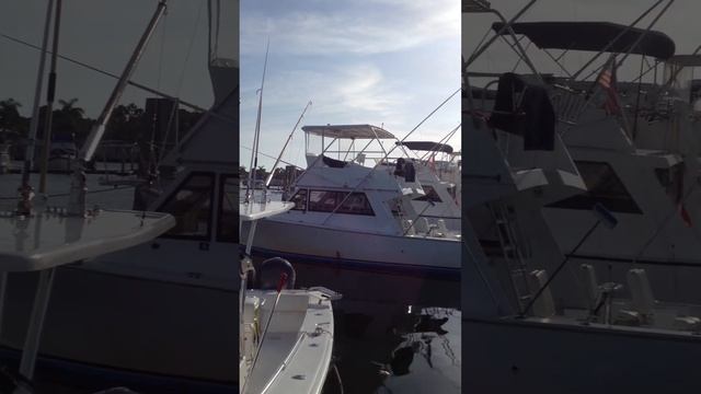 305 791 1187 Tarpon Fishing in Key West смотреть онлайн
