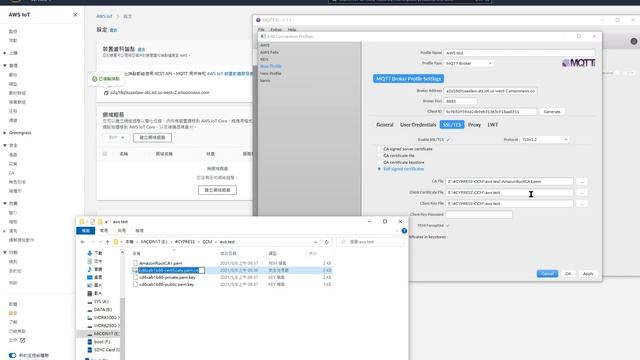 AWS IoT MQTT Setup смотреть онлайн