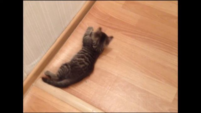 Сёма смотреть онлайн