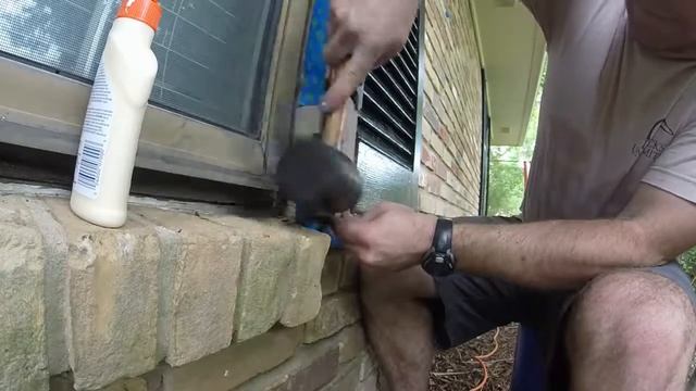Quick Rotten Window Shutter Repair смотреть онлайн