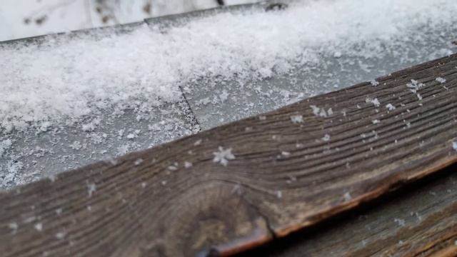 снежинки. 13.12.2020