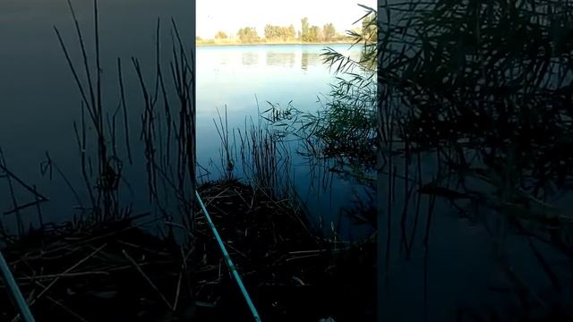 Большой улов смотреть онлайн