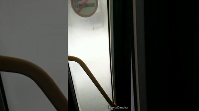 влог лупы и пупы смотреть онлайн