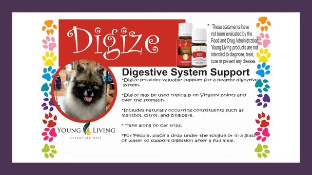 Young Living Starter Kit - How to use with Dogs смотреть онлайн