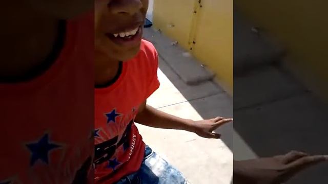 Liceo profesor juan bochs смотреть онлайн