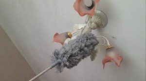 Пипидастр для пыли. Покупки на Озон. Обзор