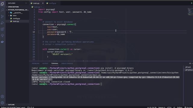 Как подключиться к PostgreSQL на Python | Создание таблицы, добавление, удаление, вывод данных смотреть онлайн
