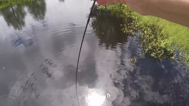 Новое место для рыбалки! New fishing place! смотреть онлайн