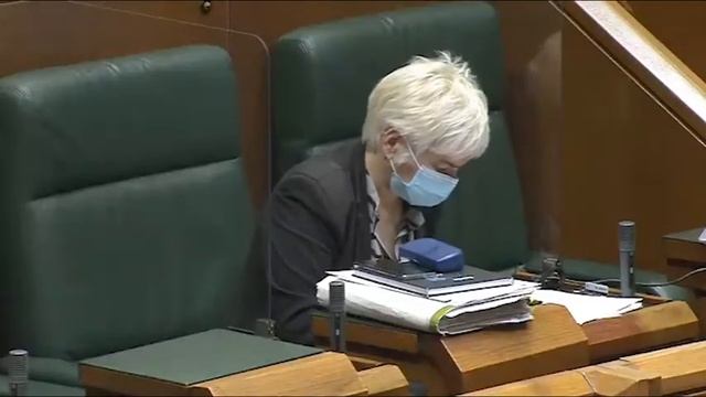 El PNV es incapaz de gestionar la pandemia del Covid19 смотреть онлайн