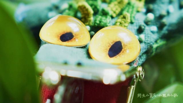 夏云的鳄鱼小宝贝shot By Bmpcc 4k