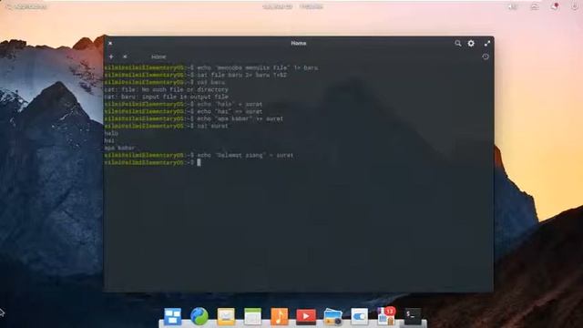 Percobaan Command Input Output Linux смотреть онлайн