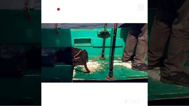 Grp sabia front seal change check for try смотреть онлайн