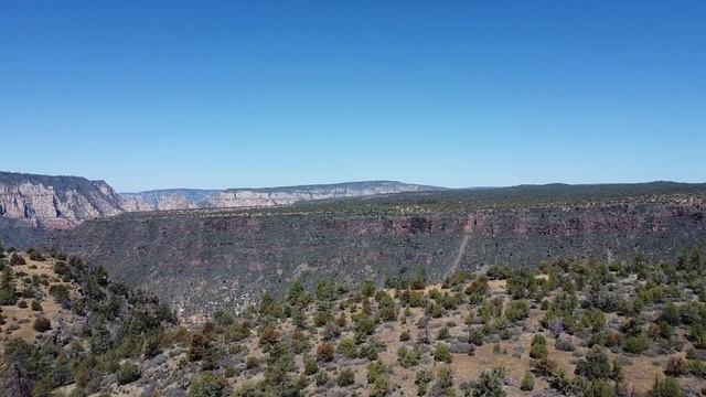 Northern Arizona Footage Coconino National Forrest смотреть онлайн
