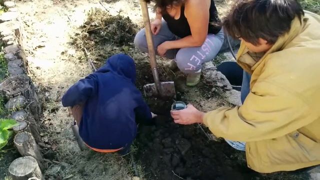 Леша собирается на рыбалку и копает червячков 2.09.2014 смотреть онлайн