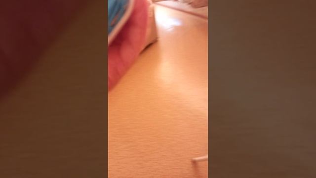 распаковка чек смотреть онлайн