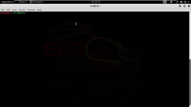 How To Get Matrix Effect Terminal On Kali Linux 2016 1 ✔ смотреть онлайн
